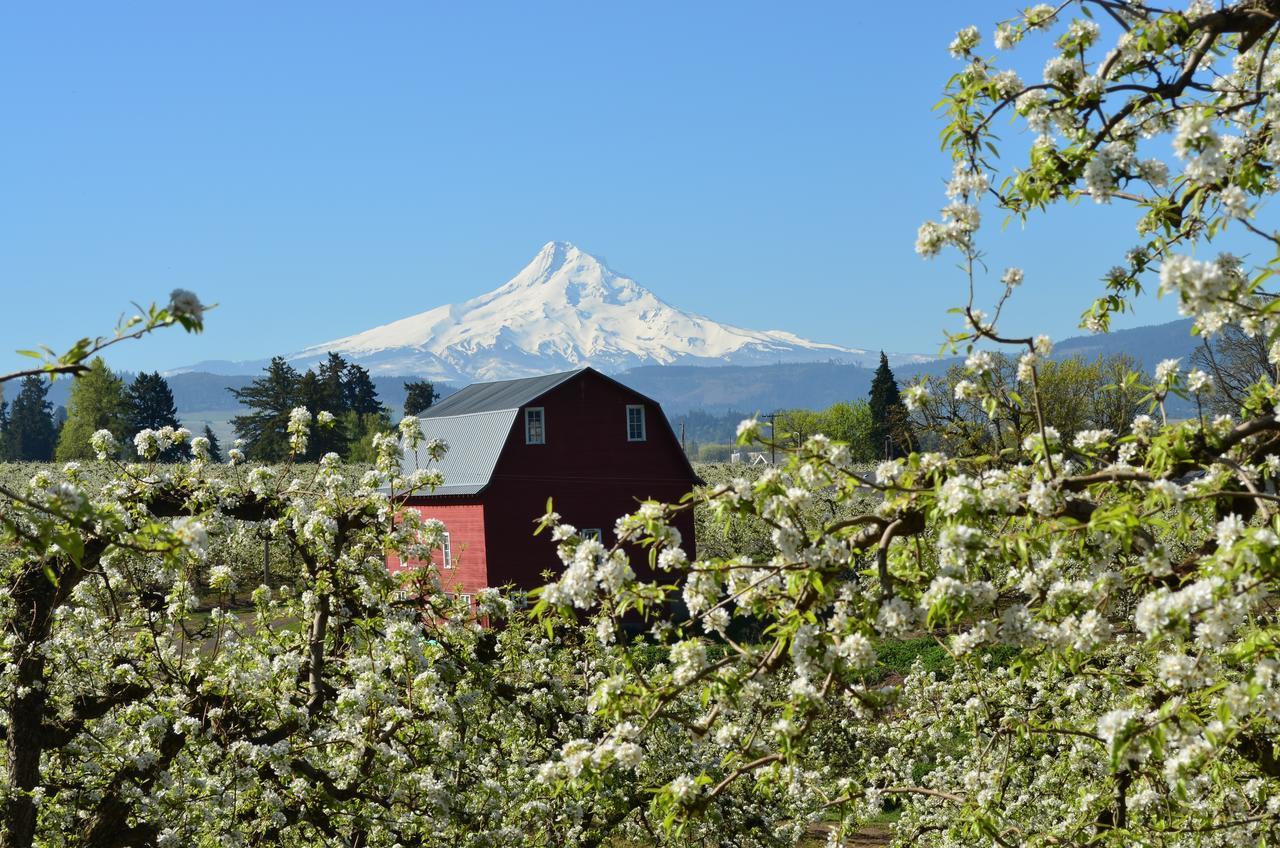 Old Parkdale Inn Bed And Breakfast Hood River Esterno foto