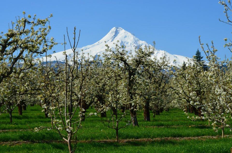 Old Parkdale Inn Bed And Breakfast Hood River Esterno foto